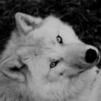 Анастасия Ермакова