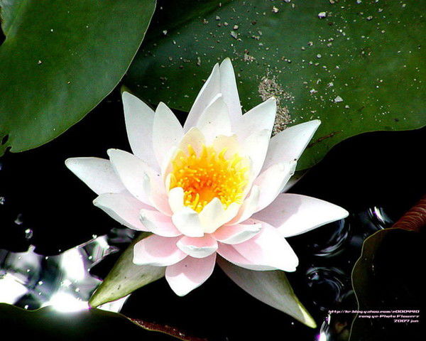 Нурсауле Успанова