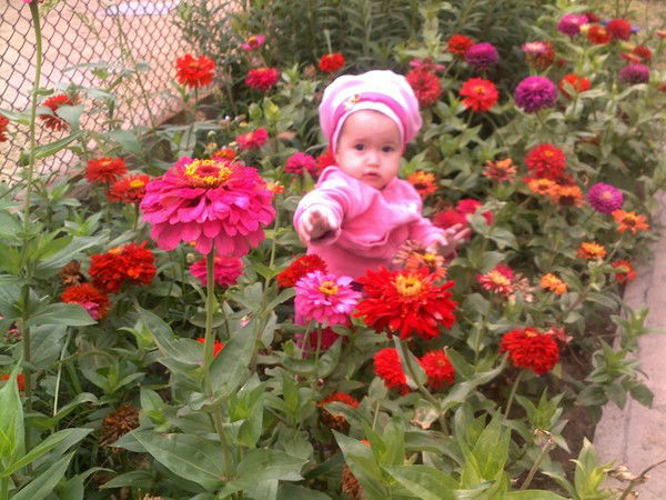 Жолаушыбай Киикбаев