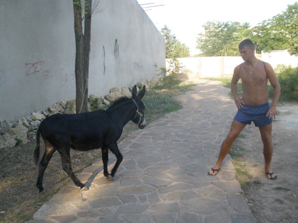 Сергей Нельга