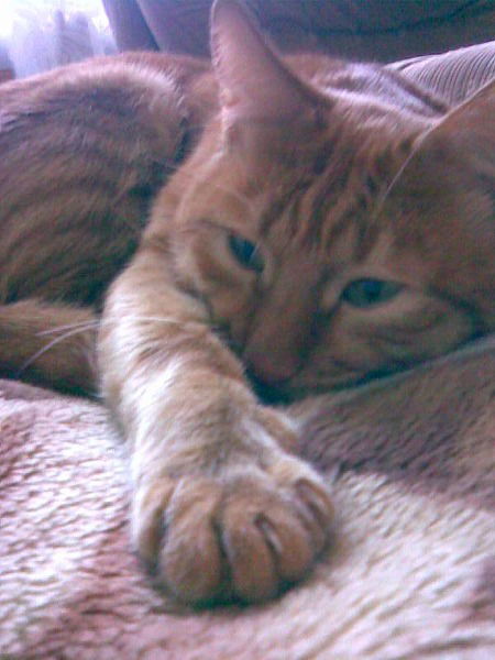 Катюша Зима