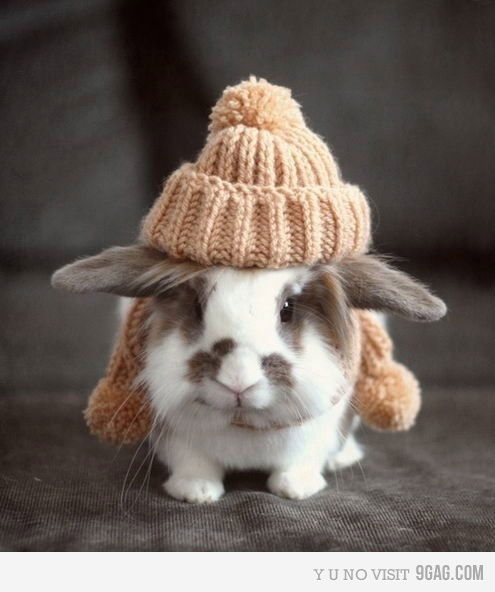 Вика Тущенко