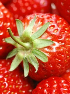 Аружан Султанова