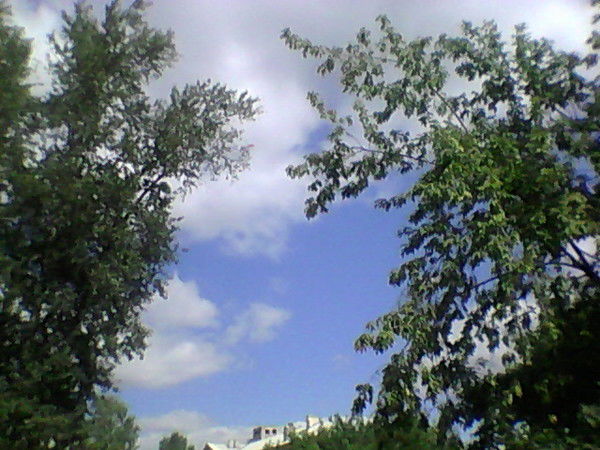 Олег Курносов