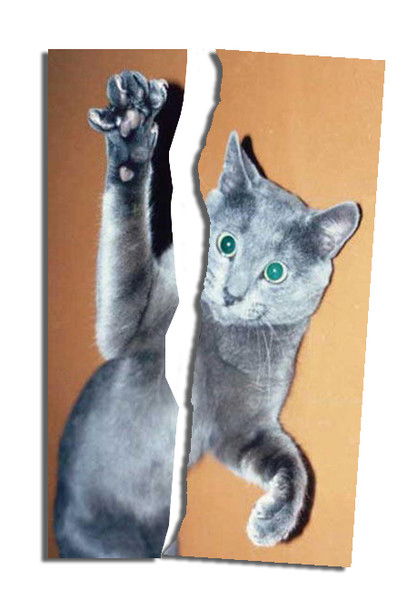 Антон Раугеянен