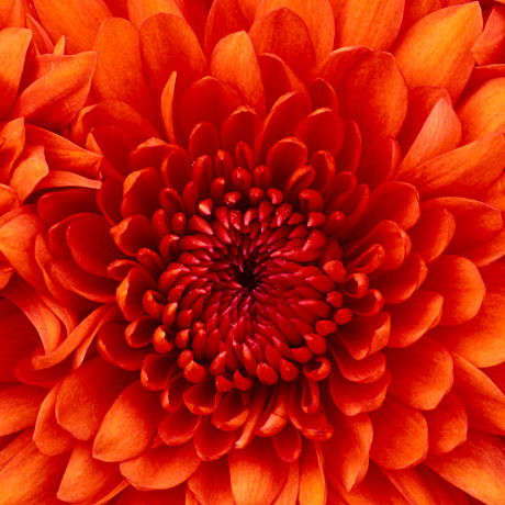 Анна Багаутдинова