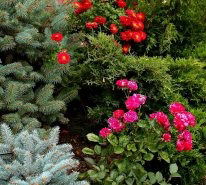 Интернет-Магазин Эко-Сад