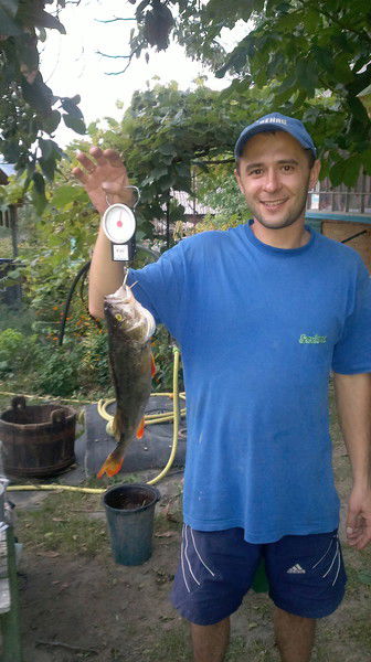 Андрей Ахмедов