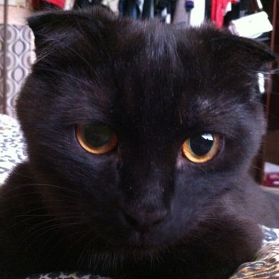 Вера Величко