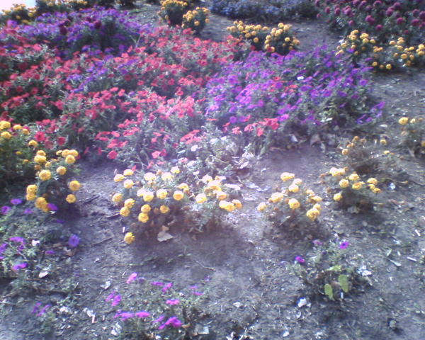 Сергей Старчиков