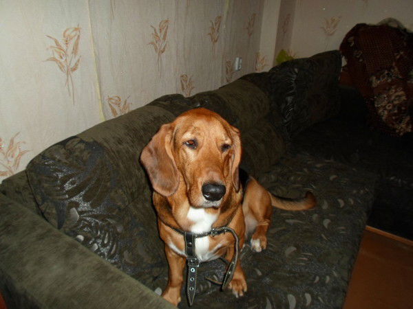 Влад Фёдоров