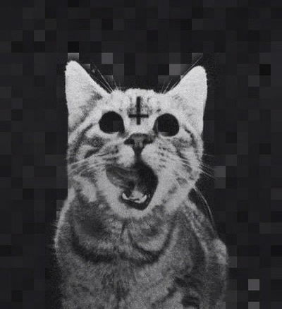 Оля Бондарева