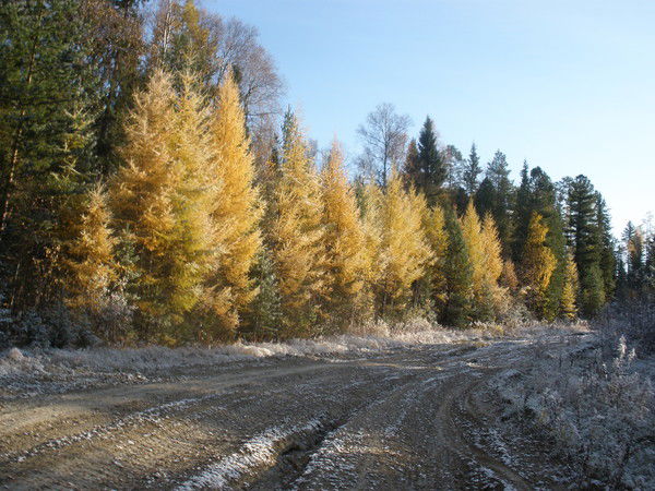 Иван Шевцов