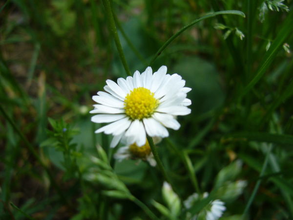 Наталия Шкабура