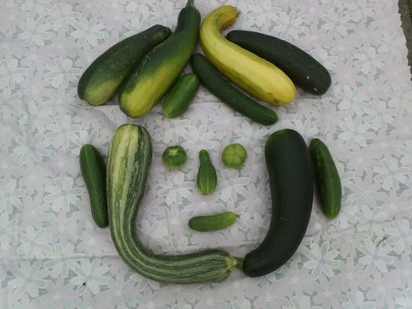 Кыдана Николаева