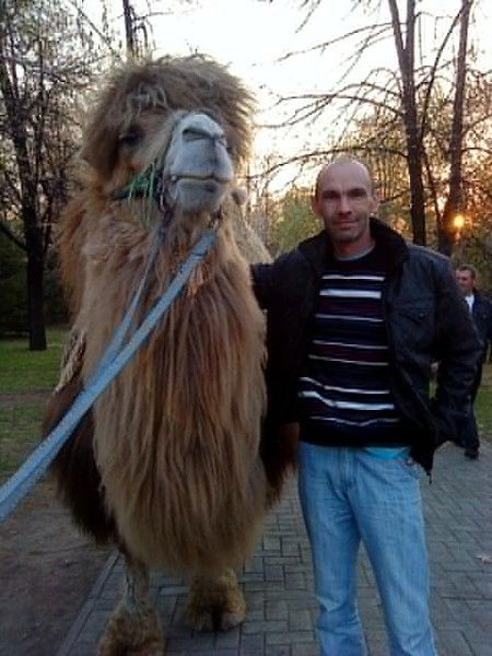 Владимир Небогин