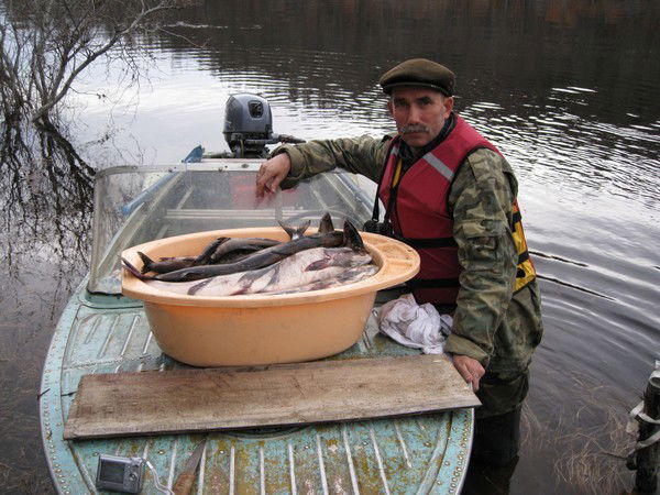 Алексей Полуэктов