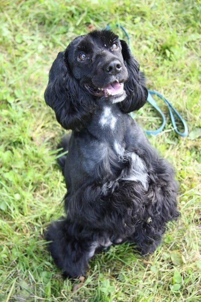 Арина Василевская