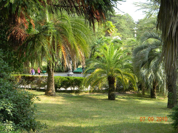 Татьяна Морозова