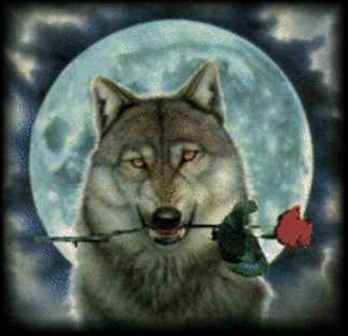 Мэлс Сексенбаев