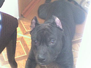 Юрий Шикунец