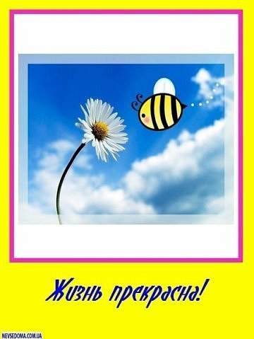 Ольга Ковтун