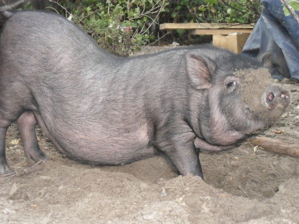 Вова Потапенко