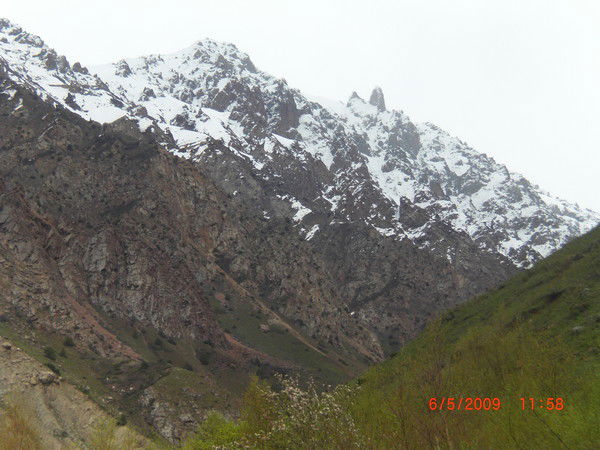 Фаридун Кодиров