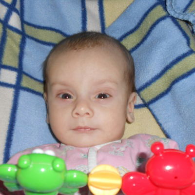 Константин Гоголь