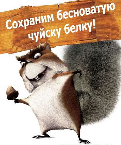 Денис Русаков