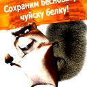 Денис Русаков
