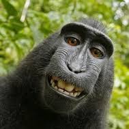 Изя Пупинштейн