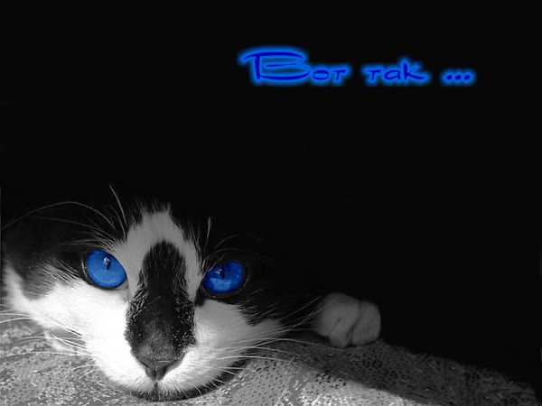 Альбина Ольшакова