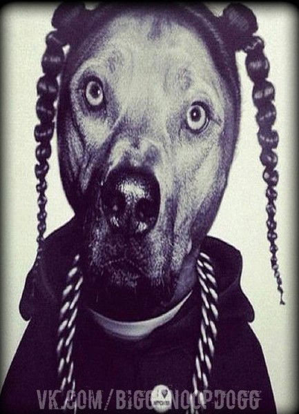 Александр Альков