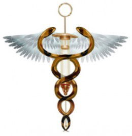 Регистратура Дма