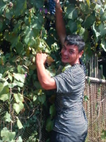 Григорий Камбурян