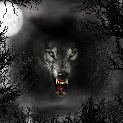 Слава Терлецкий