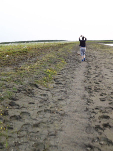 Алена Винокурова