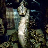 Катя Захарова