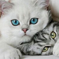 Вера Наумкина