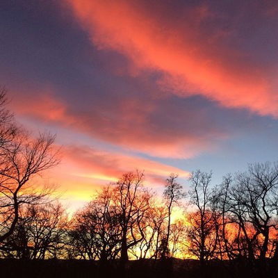 Катерина Зарецкая