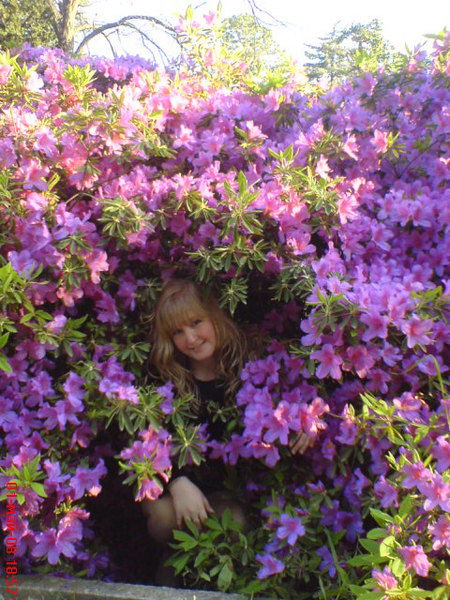 Катя Котова