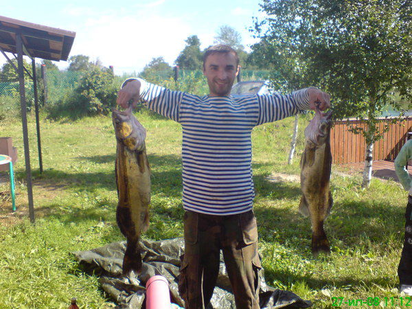 Вячеслав Петров