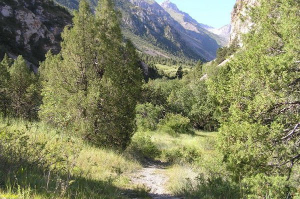 Пётр Бочаров