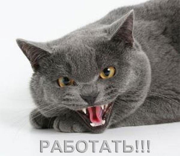 Алексей Сулимов