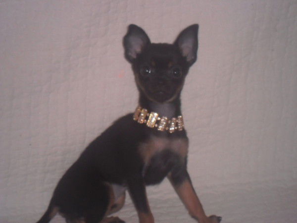 Анна Страхова