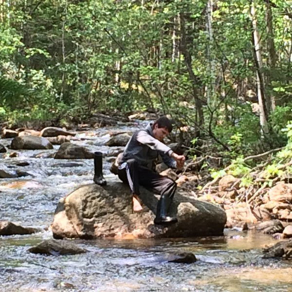 Александр Колесников