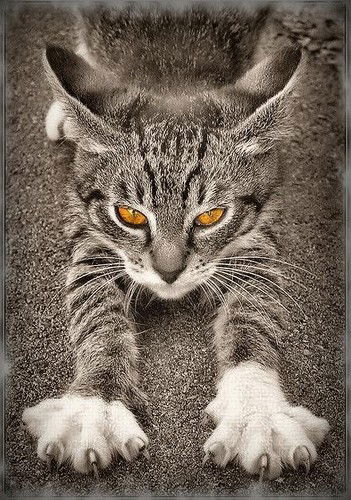 Андрей Самбуров