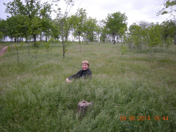 Наталья Власова