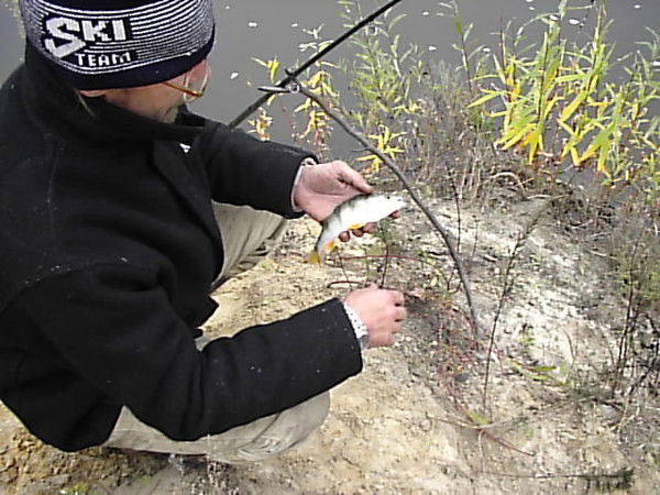 Максим Солнцев